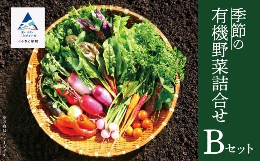 
                  西田農園 季節の有機野菜詰合せ Ｂセット  野菜食べ比べ 旬の野菜 野菜セット オーガニック野菜 有機栽培 石川県 小松市
                