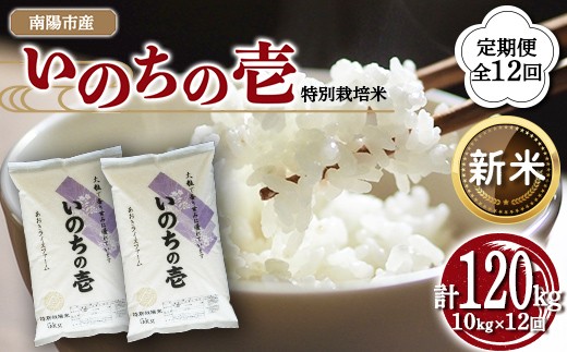 【令和8年産 新米 先行予約】 【金賞受賞農家】 《定期便12回》 特別栽培米 いのちの壱 計10kg(5kg×2袋)×12か月 《令和8年10月中旬～発送》 『あおきライスファーム』 山形南陽産 米 白米 精米 ご飯 農家直送 山形県 南陽市 [2670-R8]