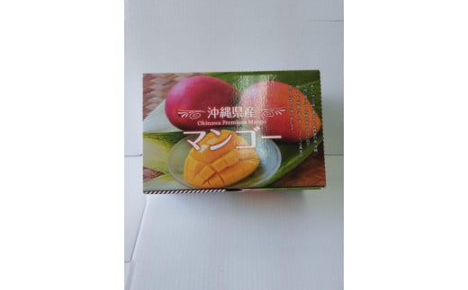 ★【先行受付】【2025年発送】アップルマンゴー 秀品 南城市 約1kg (2～3玉)