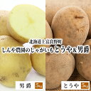 【ふるさと納税】【北海道上富良野町産】しんや農園のじゃがいも「とうや5kg & 男爵5kg」 計10kg　 野菜 根菜 北海道産 北海道のじゃがいも 食べ比べ 煮崩れしにくい ホクホク 　お届け：2025年9月10日～9月30日まで