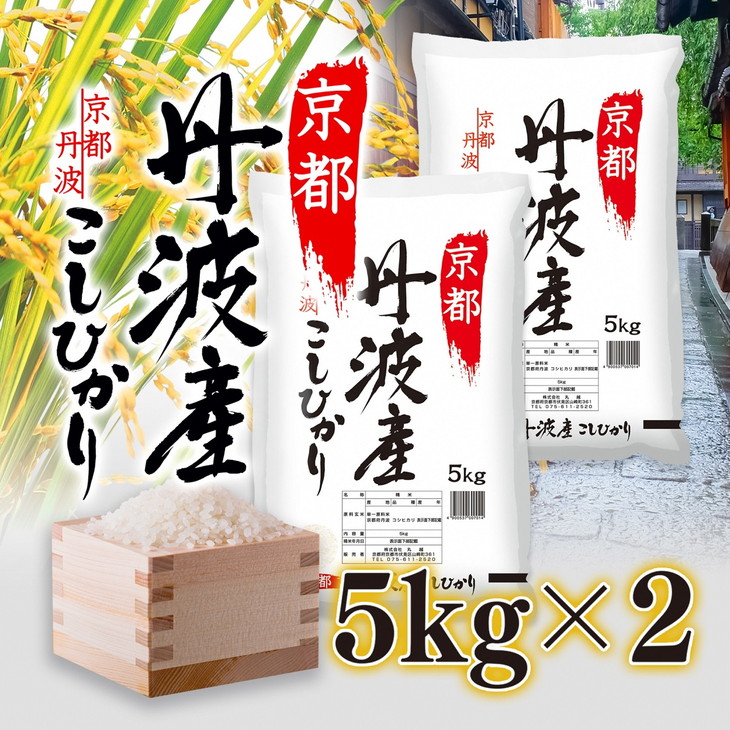 【7日以内発送】京都丹波産 こしひかり 5kg×2 計10kg ◇※米食味鑑定士厳選 ※精米したてをお届け【京都伏見のお米問屋が精米】新米 米 白米 令和6年産 ※沖縄本島・離島への配送不可