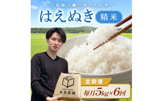 11月下旬発送開始／【6回定期便】令和8年産 ［精米］はえぬき　5kg×6回(計30kg) 農家直送 HO SF0380