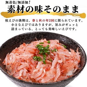 焼津特選 生桜えび 100g×5 (a15-562)