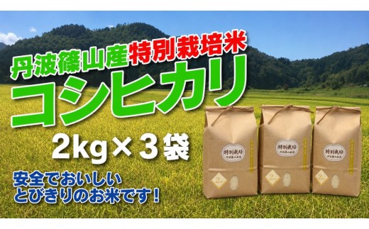 新米予約【令和8年産】お米のおいしさ伝えたい！特別栽培米コシヒカリ2kg×3