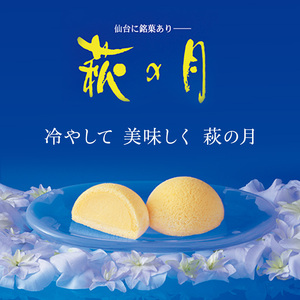 和菓子 萩の月 8個入り 菓匠三全 和菓子