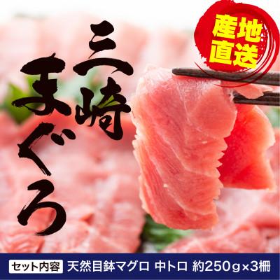 ふるさと納税 三浦市 三崎マグロ　鈴木水産　天然マグロ(中トロ3柵)セット |  | 01