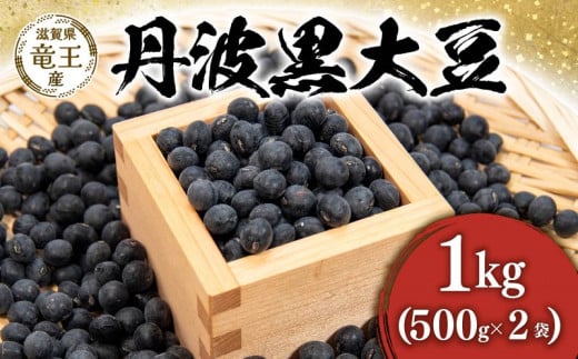 【 先行予約 】令和6年産 黒豆 予約 丹波黒 1kg ( 500g × 2袋 ) 豆 滋賀県 竜王町 国産 農家直送 丹波黒大豆  2024年産 国産 農家直送 産地直送 送料無料