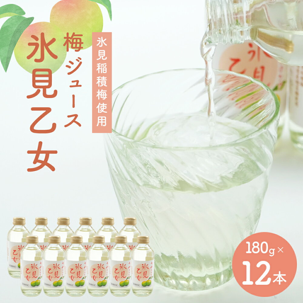 【ふるさと納税】梅ドリンク 氷見乙女（12本）｜ 富山県固有種 稲積梅使用