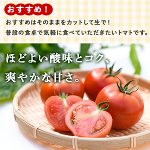 【P74002】＜先行予約受付中！2026年2月中旬以降順次発送＞ ぜいたくトマト(約1.8kg) フルーツトマト 完熟 こだわり とまと トマト 大玉品種 夏野菜 野菜 産地直送【兼氏農園】