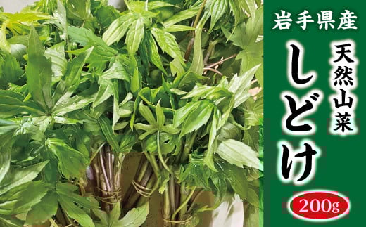 【先行予約】 【４月下旬頃～発送予定】 山菜 しどけ 200g 天然 数量限定