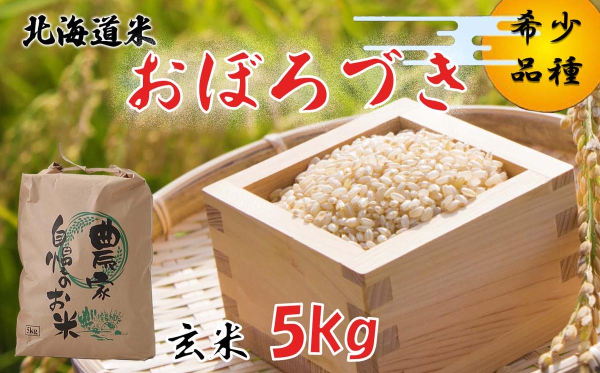 ＜ 10月中旬から順次発送 ＞ 新米 令和7年度産 北海道米 おぼろづき 玄米 5kg 北海道 新ひだか町 ＜ 予約受付 ＞
