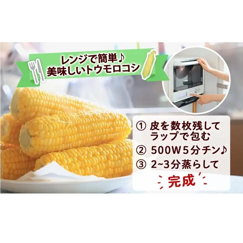 とうもろこし 味来 2Lサイズ 13本 約5kg 北海道産 朝もぎ イエロー コーン みらい
