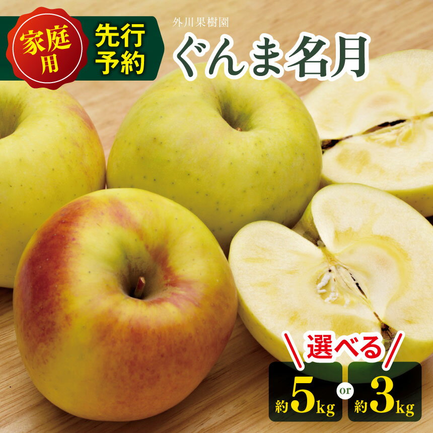 【ふるさと納税】*【2025年先行予約】 外川果樹園 ぐんま名月 家庭用 約5kg or 約3kg ｜ リンゴ りんご 林檎 果物 フルーツ 果実 果汁 ぐんま名月 ぐんまめいげつ 家庭用 長野県 松川村 信州