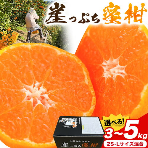【ふるさと納税】みかん ご家庭用 崖っぷち蜜柑 若野産 選べる内容量 約3kg 約5kg 2S〜Lサイズ混合 《11月下旬-1月上旬頃出荷予定》 崖っぷち蜜柑 和歌山県 日高川町 みかん 柑橘 フルーツ 果物 ミカン 送料無料