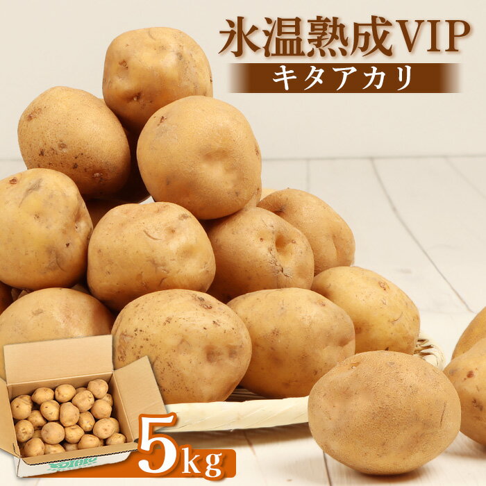 【ふるさと納税】【2月～4月発送予定】氷温熟成VIP キタアカリ 5kg いも 芋 イモ じゃがいも ジャガイモ きたあかり オンライン 申請 ふるさと納税 北海道 留寿都 野菜 ホクホク 産地直送 新鮮 じゃがバター ポテトサラダ フライ 留寿都村【1200102】