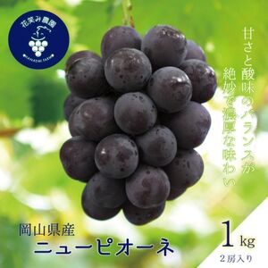 岡山　花笑み農園の『ニューピオーネ』1kg(2房)　P-1【9月上旬～順次発送】【配送不可地域：離島】【1628315】