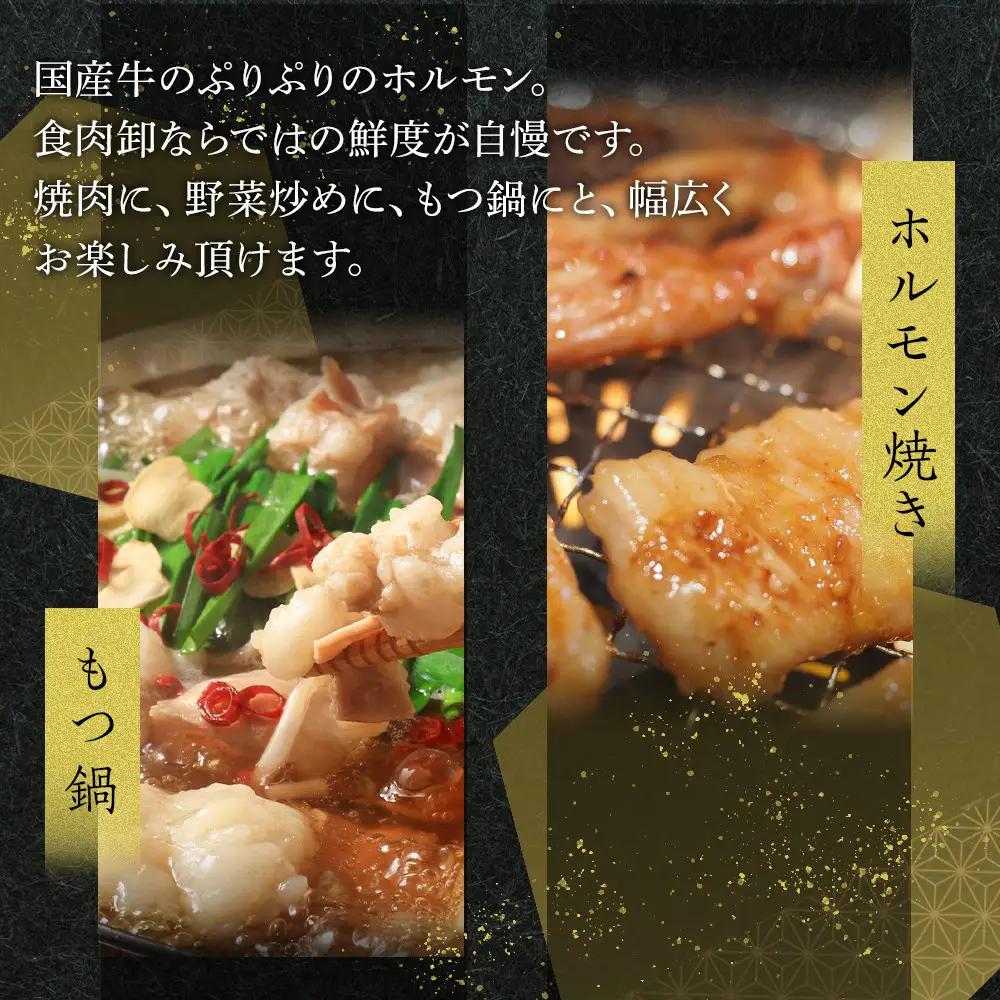国産牛　ホルモンセット　1000g | ホルモン