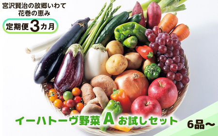 【定期便3ヶ月】イーハトーヴ野菜A お試しセット6品～ 【293】