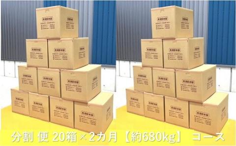 黒潮 薪 （ 分割 便 20箱×2カ月【約680kg】 コース ）［1603］