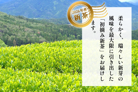 【2026年産新茶】 初摘み新茶 美濃白川茶 50g 初摘み 新茶 東白川村産 岐阜県産 お茶 日本茶 ホット アイス おためし リックポスト 茶広農園
