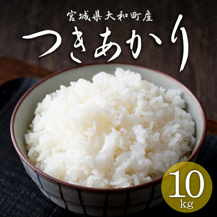【ふるさと納税】＜令和7年産＞ つきあかり 10kg お米 おこめ 米 コメ 白米 ご飯 ごはん おにぎり お弁当【赤間農業開発株式会社】ta460