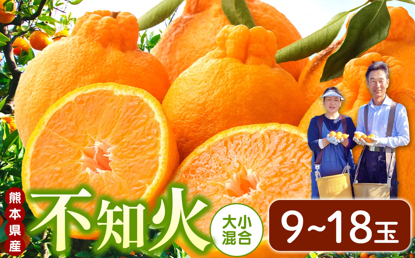 
            くすおかファームの不知火 （ 9 ～ 18玉 ） | フルーツ 果物 くだもの 柑橘 柑橘類 ミカン みかん しらぬい 熊本県 玉名市
          