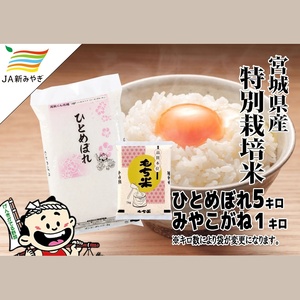 元気くん市場  宮城の美味しいお米・もち米セット【mygs010】