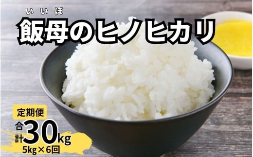 【6ヵ月定期便】飯母のひかり 5kg 白米 米 精米 マルナカ 飯母米 定期便 ISR-219