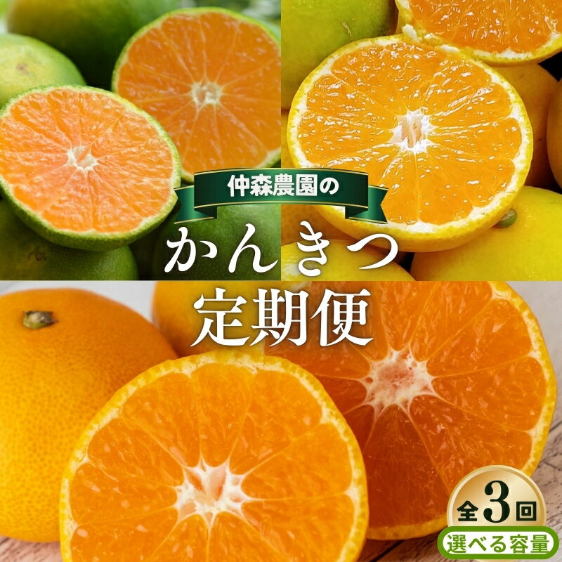 【ふるさと納税】 【全3回】仲森農園の 柑橘定期便 【選べる容量】 超極早生温州 由良早生 早生温州 みかん ミカン 蜜柑 温州みかん 温州ミカン 柑橘 みかん定期便 フルーツ定期便 果物定期便 柑橘定期便 フルーツ 果物 くだもの 甘い 旬 人気 三重県 熊野市 送料無料