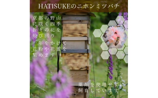 はちみつ【数量限定】京都産 生はちみつ 3個セット【2種類】カカオニブはちみつ 110g×1個／プレーン生はちみつ 130g×2個《二ホンミツバチの生はちみつ 国産 純粋 蜂蜜 非加熱 無添加 ハチミ