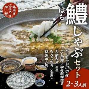 【特別セット】ハモしゃぶセットB（2～3人前）