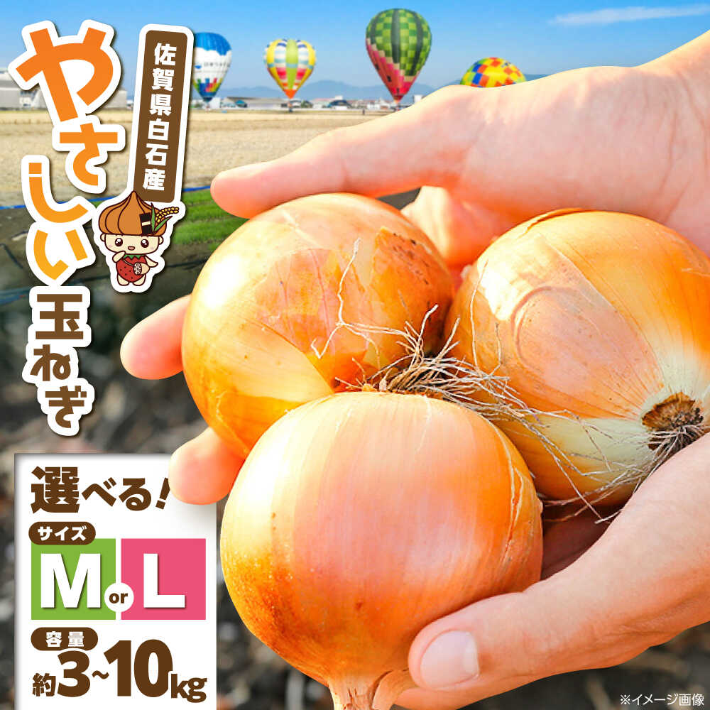 【ふるさと納税】【選べる容量・サイズ】【やさしい玉ねぎ】白石産玉ねぎ 約3kg〜10kg（M/Lサイズ）【川崎ファーム】[IDQ001] 玉ねぎ 玉葱 たまねぎ タマネギ オニオン サラダ 肉じゃが 産地直送 野菜