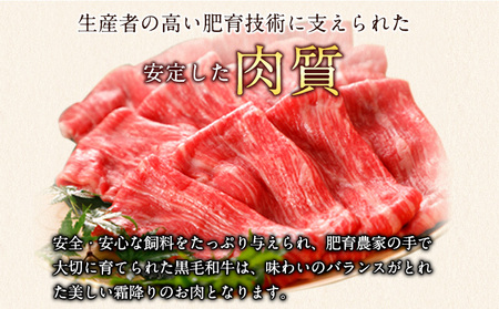 牛肉 くまもと黒毛和牛 すき焼き用 500g 桜屋《30日以内に出荷予定(土日祝除く)》熊本県 菊池市 肉 黒毛和牛 すき焼き