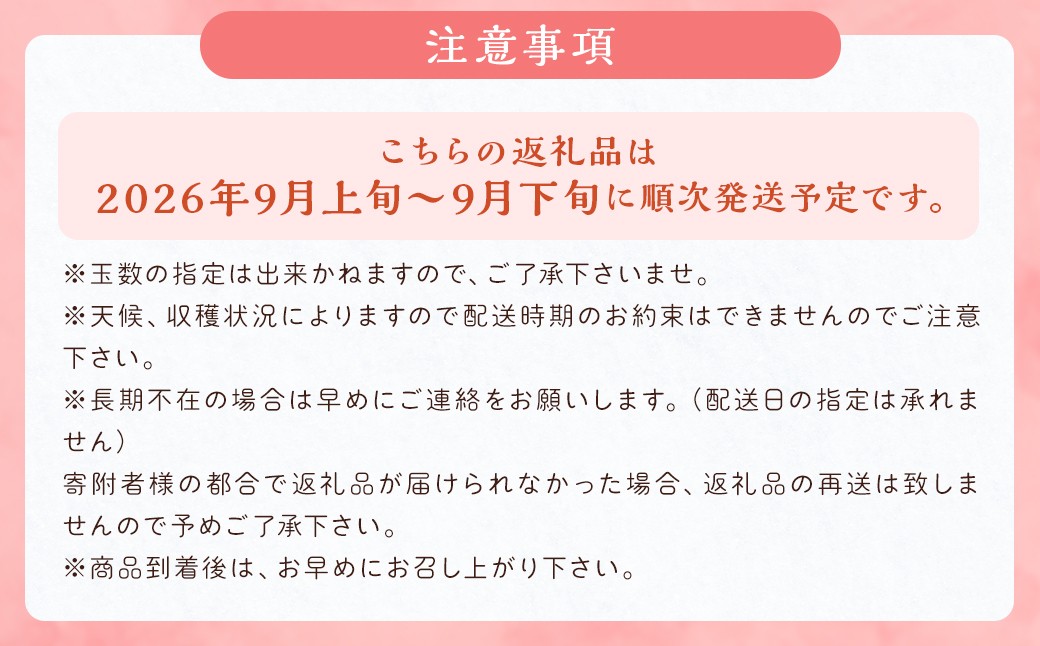 甘太梨 9玉～12玉 約5kg 梨 ナシ 果物 フルーツ 福岡県産