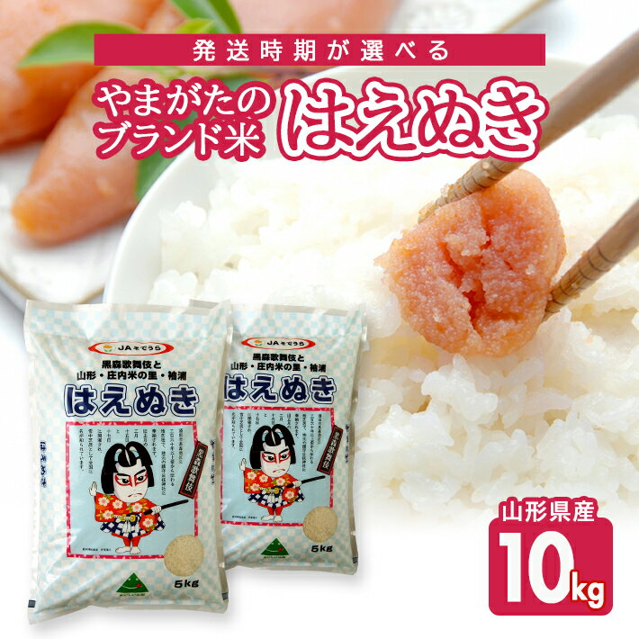 【ふるさと納税】はえぬき 5kg×2袋 計10kg 山形県産 令和7年産米 ご希望の時期頃お届け 農協 JA 米 お米 精米 白米 ごはん 東北 酒田市 庄内 発送時期が選べる