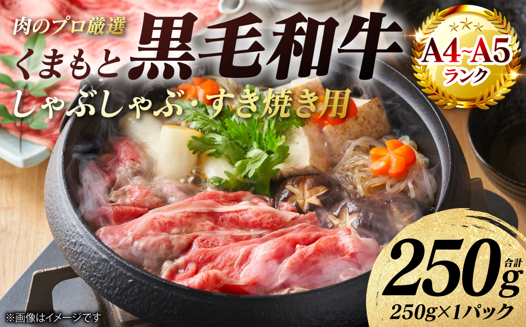 【A4～A5ランク】 くまもと黒毛和牛 しゃぶしゃぶ すき焼き用 （肩ロース） 250g （250g×1パック） 牛肉 お肉 ロース 黒毛和牛 冷凍 小分け おかず ギフト 熊本県 八代市