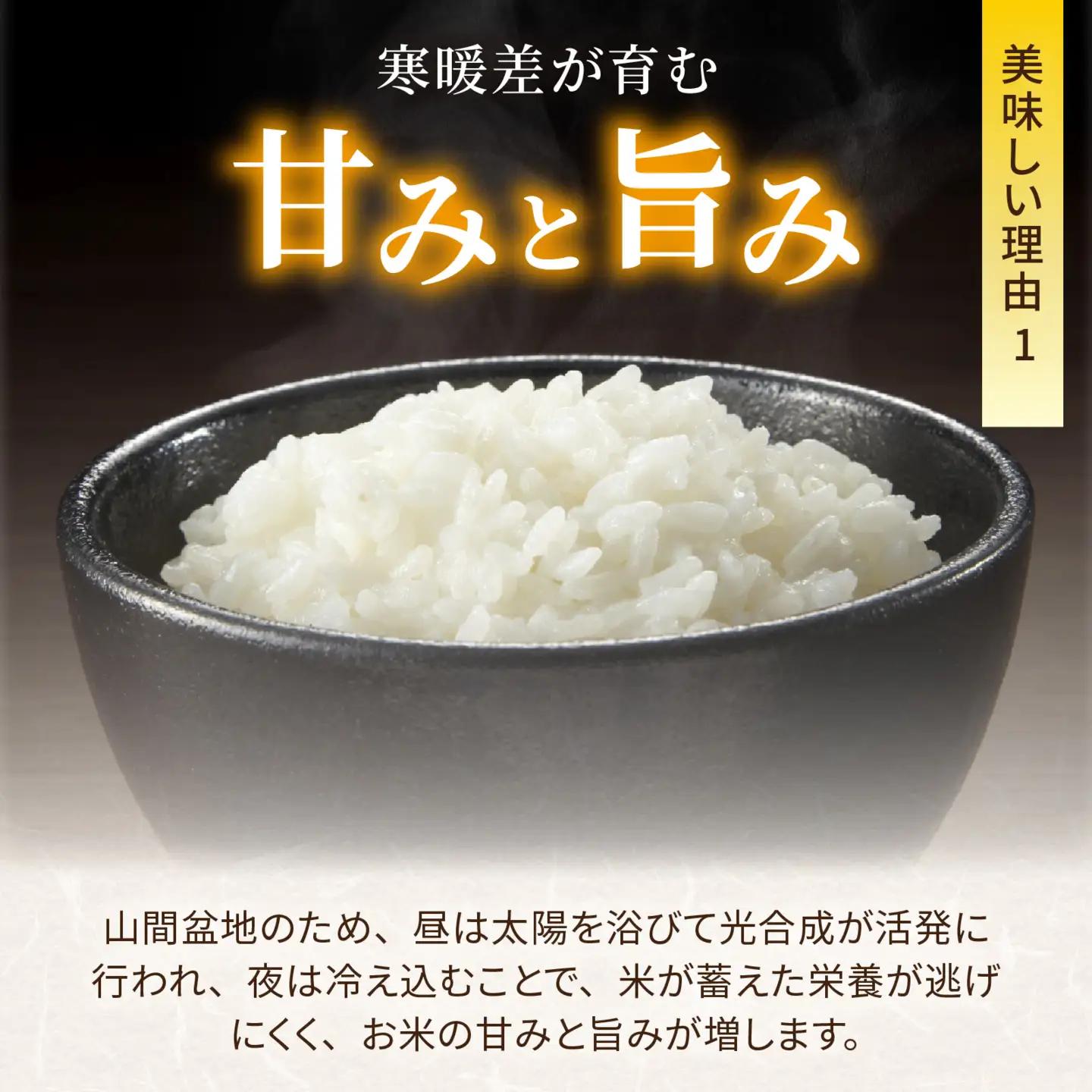 【令和8年産】新米 定期便 4.5kg×6回 森目のコシヒカリ 新米 F-008003
