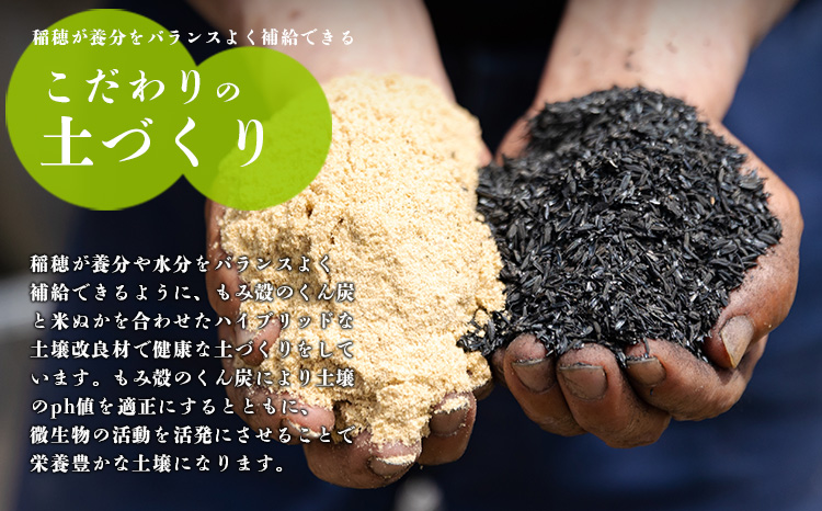 《新米》《先行受付》定期便3ヶ月 2024年産「きりしまのゆめ」ヒノヒカリ6kg×3回 霧島湧水が育むの減農薬栽培のお米(令和6年産・特別栽培米・無洗米・真空チャック式) TF0631