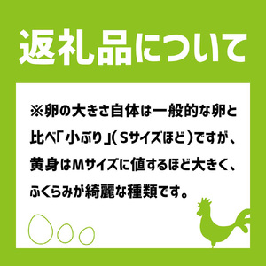 【ふるさと納税】土佐ジローの卵 定期便（25個入り×3回）もみ殻梱包 【J00144】