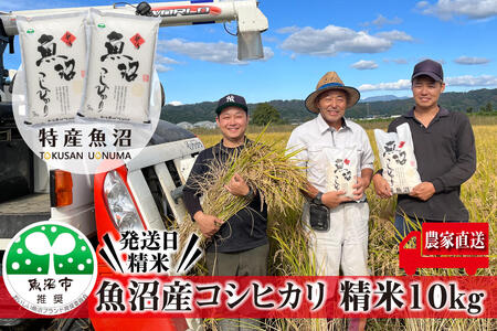 令和5年産 農家直送！ 魚沼産 コシヒカリ 精米 10kg （ 5kg × 2 ）（ 米 こしひかり お米 こめ コメ おこめ 白米 魚沼 魚沼産コシヒカリ 魚沼産こしひかり 新潟 ）