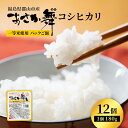 【ふるさと納税】あさか舞コシヒカリ パックご飯 12個入　お届け：2024年9月上旬～2025年1月中旬