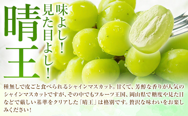 【2026年先行予約】秋のシャインマスカット 晴王  1房 環山堂株式会社《2026年9月上旬-10月上旬頃出荷》岡山県 浅口市 シャインマスカット マスカット ぶどう 果物 フルーツ 送料無料a-1