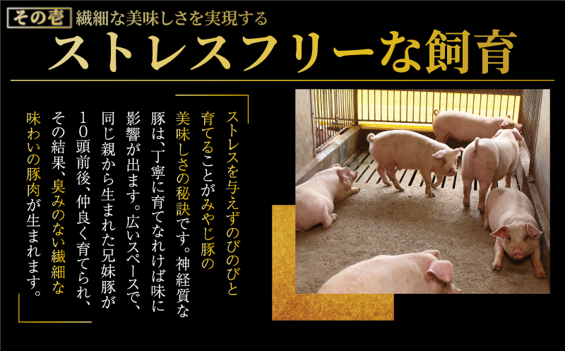 希少ブランド豚『みやじ豚 しゃぶしゃぶ用 セット バラ・モモ(900g)』(冷蔵・生肉) A1 ※お届け日指定不可