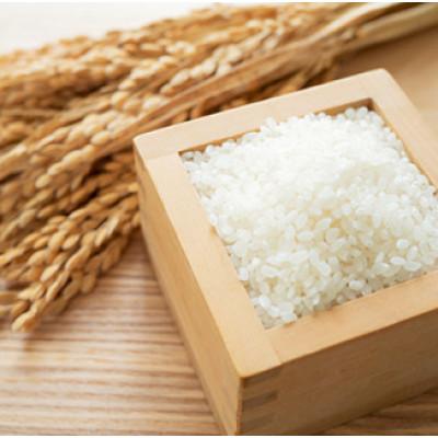 ふるさと納税 伊万里市 【毎月定期便】佐賀県産 ゆめしずく 白米4.5kg全3回 |  | 01