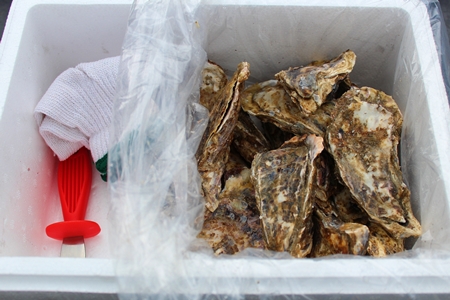 【北海道根室産】殻付カキ90～120g×12個 A-57055