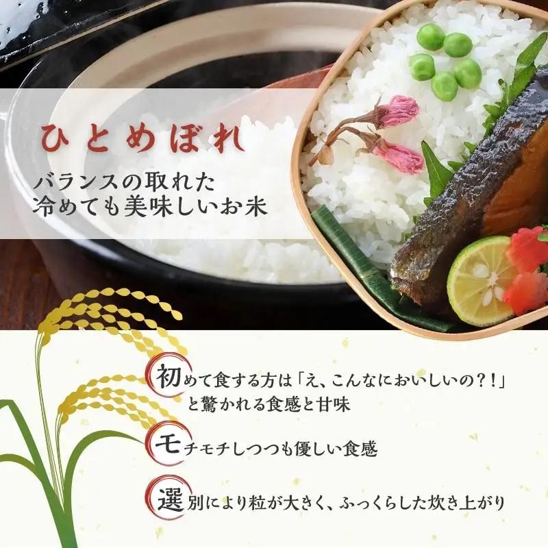 【定期便】 令和8年産 ひとめぼれ 2.5kg 2ヶ月連続 精米 お米 米 こめ コメ  