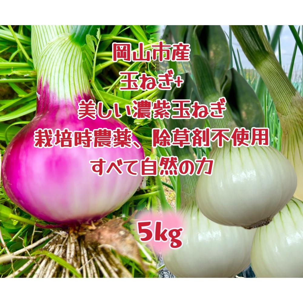 【ふるさと納税】【白玉ねぎ+赤玉ねぎ】5kgセット家庭用 減化学肥料 タマネギ 生食 健康 野菜 食品 培期間中農薬・除草剤不使用自然の力 食べ比べ 訳あり(サイズ混合) | 野菜 やさい 食品 人気 おすすめ 送料無料
