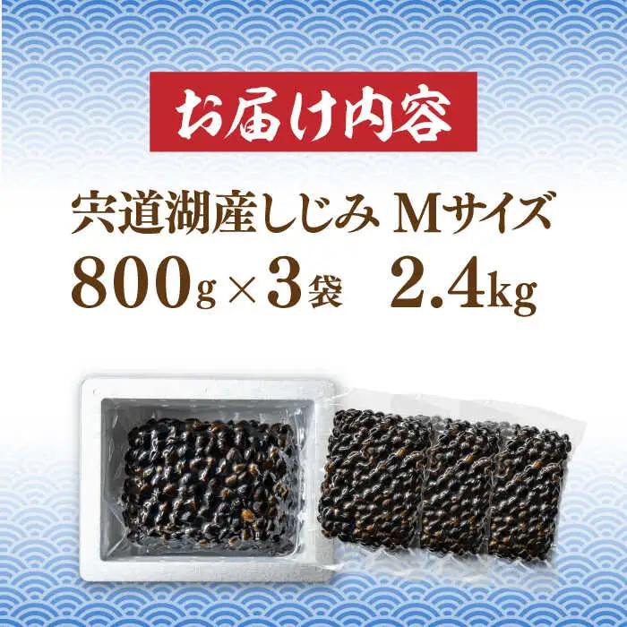 しじみ 宍道湖産 冷凍大和しじみ 砂抜き済 Mサイズ800g×3袋(2.4kg) 島根県松江市/しじみ市場株式会社[ALDK002] しじみ しじみ