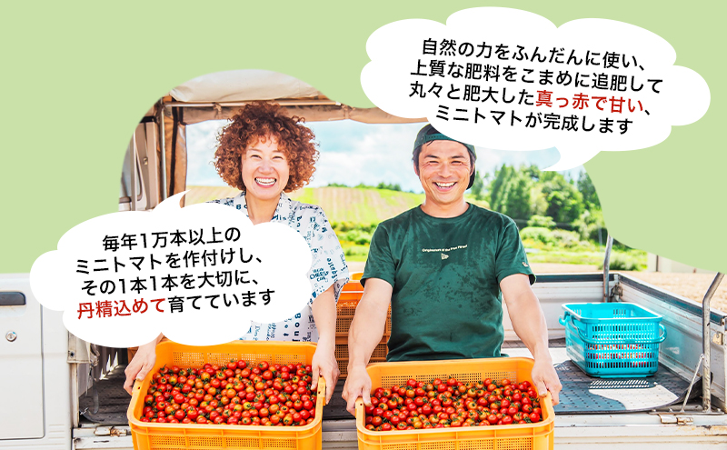 【数量限定・2025年7月中旬～順次発送】富良野 益田農園産 