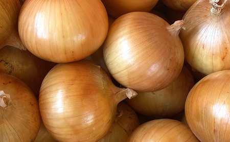 淡路島産玉ねぎ 5kg 野菜 淡路島産 玉ねぎ 玉葱 甘い 兵庫県 洲本市 淡路島